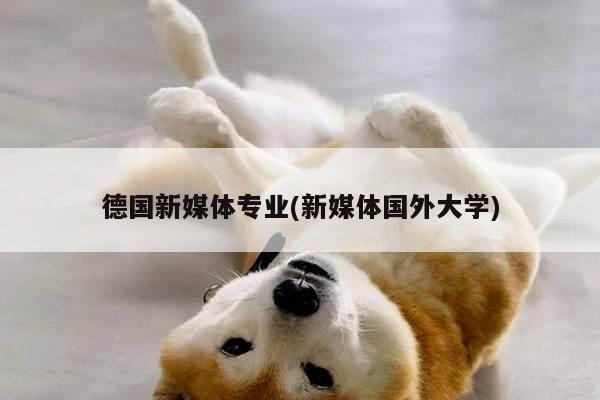 德国新媒体专业(新媒体国外大学)