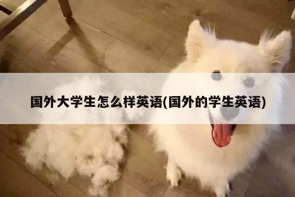 国外大学生怎么样英语(国外的学生英语)