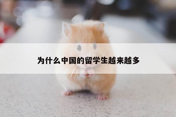 为什么中国的留学生越来越多