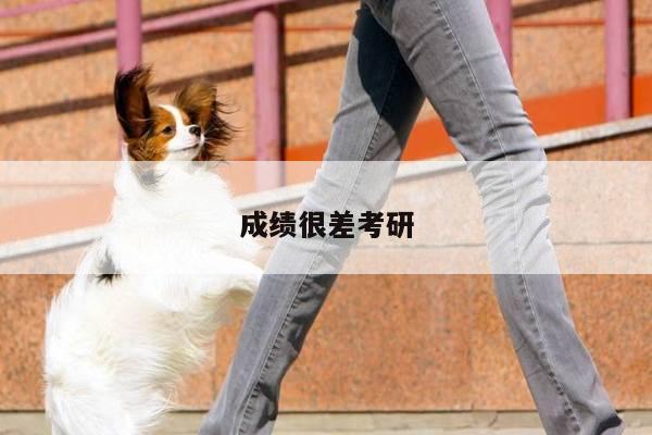 成绩很差考研