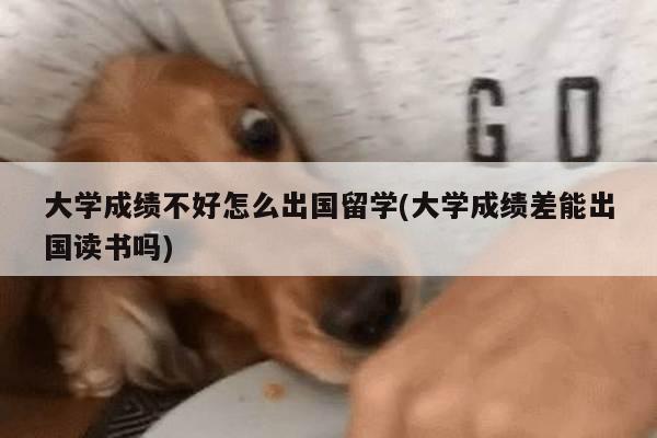 大学成绩不好怎么出国留学(大学成绩差能出国读书吗)