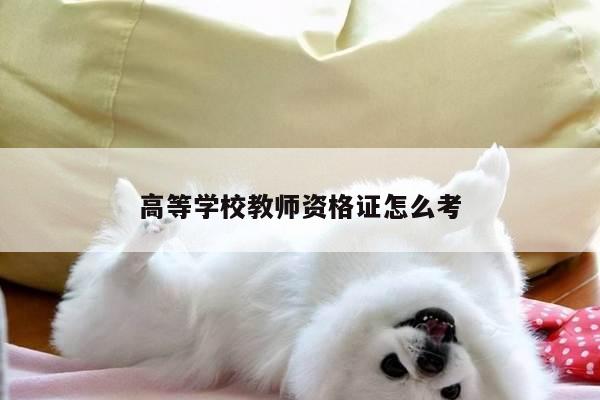 高等学校教师资格证怎么考