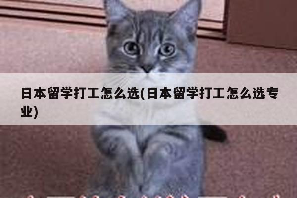 日本留学打工怎么选(日本留学打工怎么选专业)