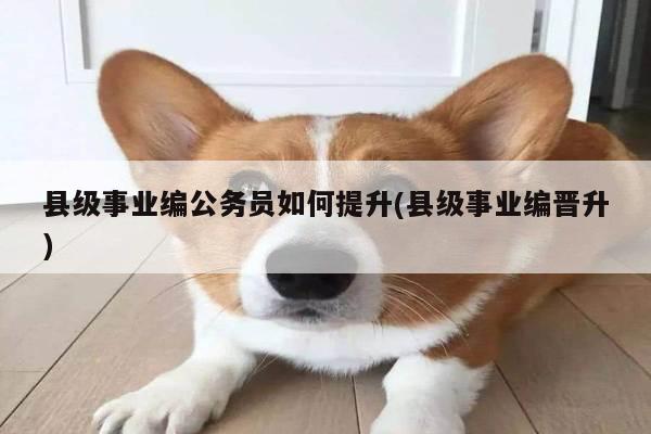县级事业编公务员如何提升(县级事业编晋升)