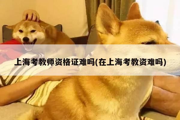 上海考教师资格证难吗(在上海考教资难吗)