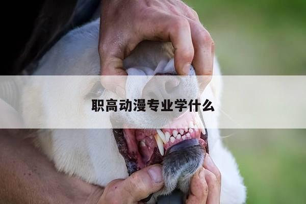 职高动漫专业学什么