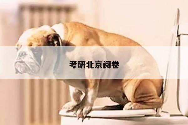 考研北京阅卷