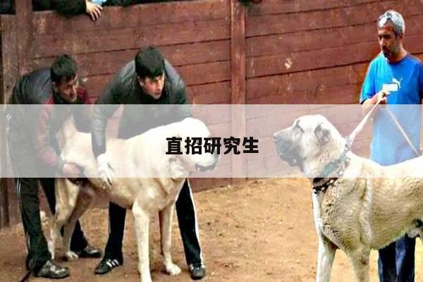 直招研究生