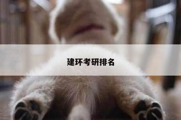 建环考研排名
