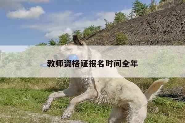 教师资格证报名时间全年