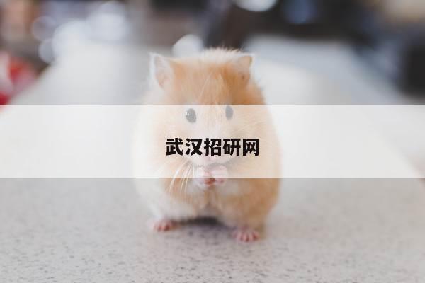 武汉招研网