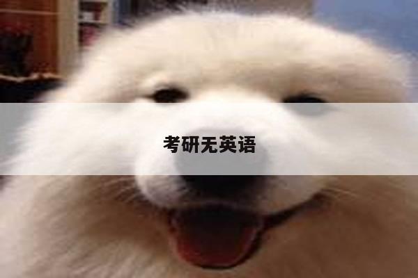 考研无英语