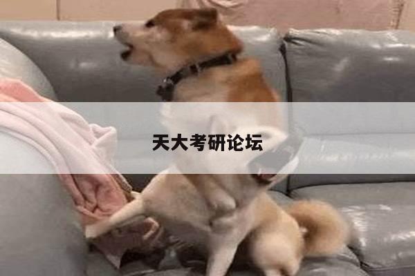 天大考研论坛