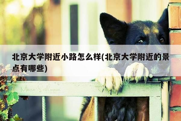 北京大学附近小路怎么样(北京大学附近的景点有哪些)