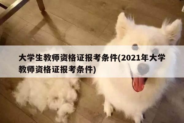 大学生教师资格证报考条件(2021年大学教师资格证报考条件)