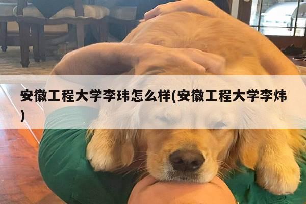 安徽工程大学李玮怎么样(安徽工程大学李炜)