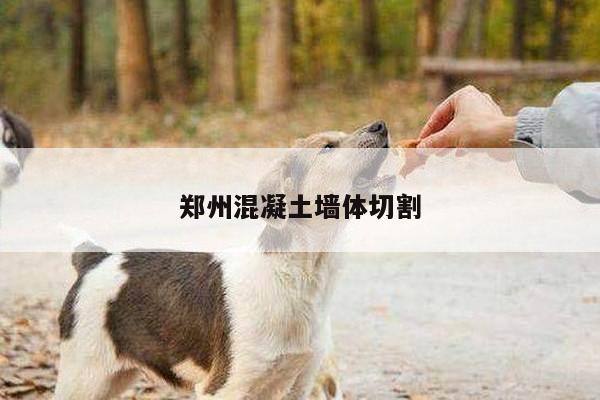 郑州混凝土墙体切割