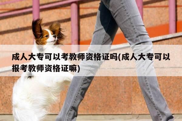 成人大专可以考教师资格证吗(成人大专可以报考教师资格证嘛)