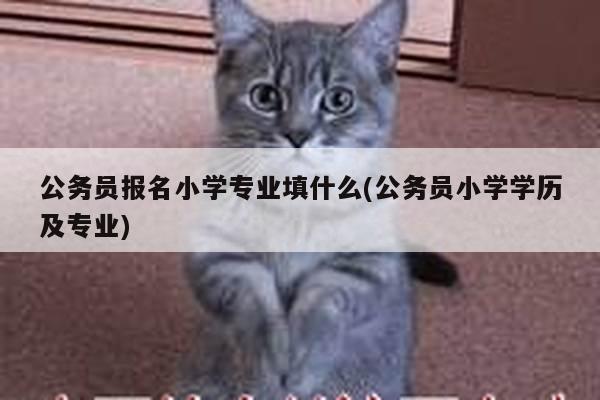 公务员报名小学专业填什么(公务员小学学历及专业)