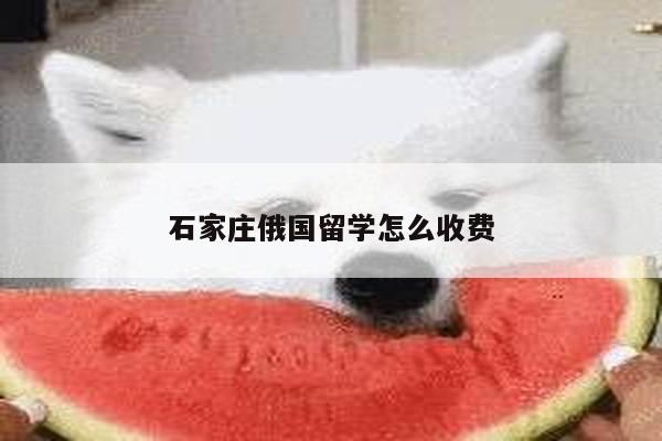 石家庄俄国留学怎么收费