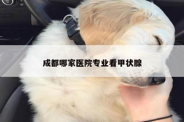 成都哪家医院专业看甲状腺