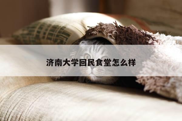 济南大学回民食堂怎么样