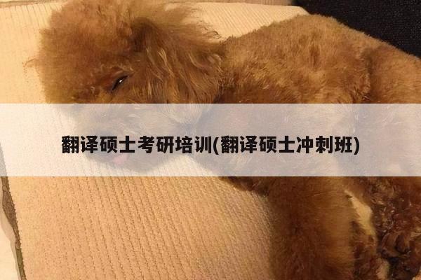 翻译硕士考研培训(翻译硕士冲刺班)