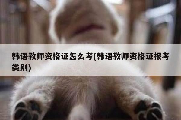 韩语教师资格证怎么考(韩语教师资格证报考类别)