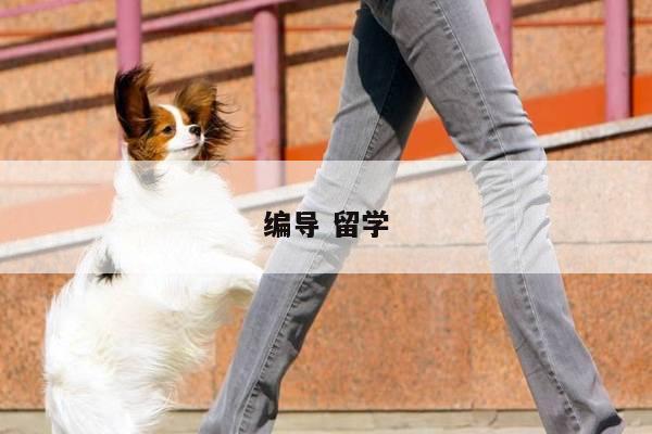 编导 留学