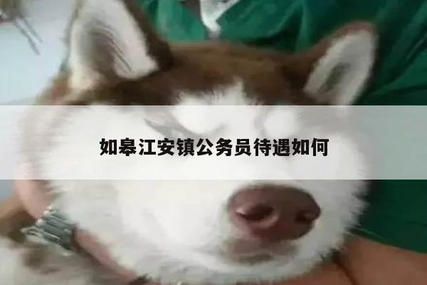 如皋江安镇公务员待遇如何