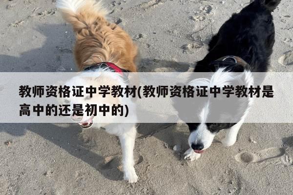 教师资格证中学教材(教师资格证中学教材是高中的还是初中的)