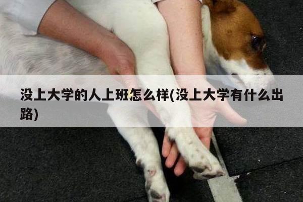 没上大学的人上班怎么样(没上大学有什么出路)