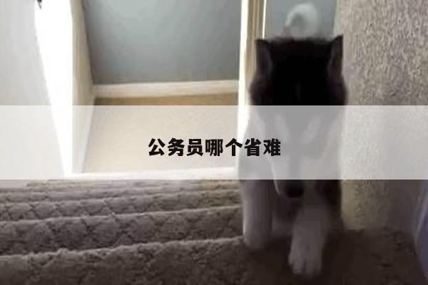 公务员哪个省难