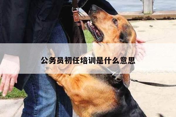 公务员初任培训是什么意思