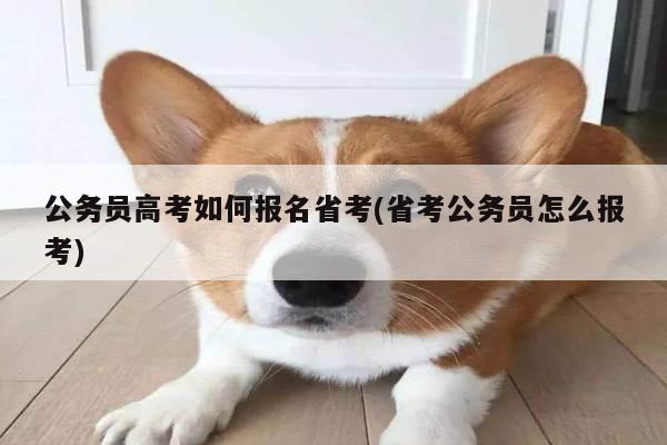 公务员高考如何报名省考(省考公务员怎么报考)