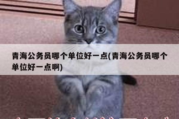 青海公务员哪个单位好一点(青海公务员哪个单位好一点啊)