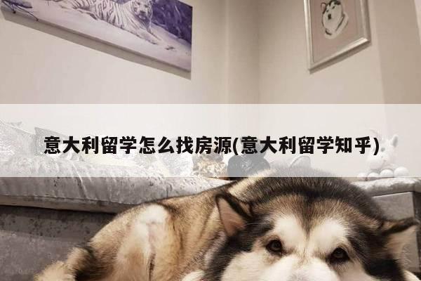 意大利留学怎么找房源(意大利留学知乎)