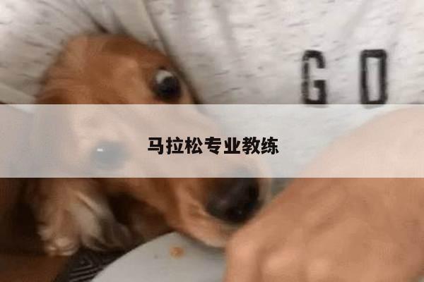 马拉松专业教练