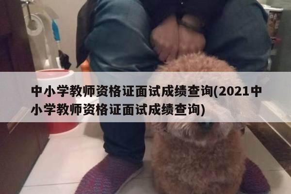 中小学教师资格证面试成绩查询(2021中小学教师资格证面试成绩查询)