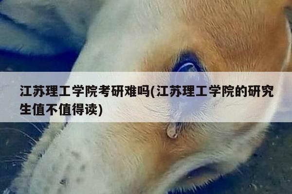 江苏理工学院考研难吗(江苏理工学院的研究生值不值得读)