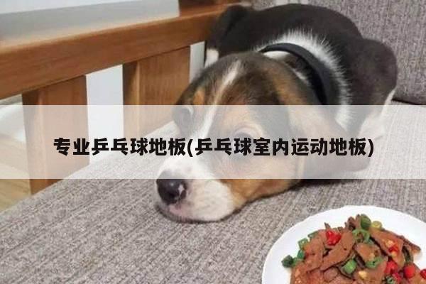 专业乒乓球地板(乒乓球室内运动地板)