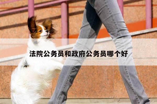 法院公务员和政府公务员哪个好