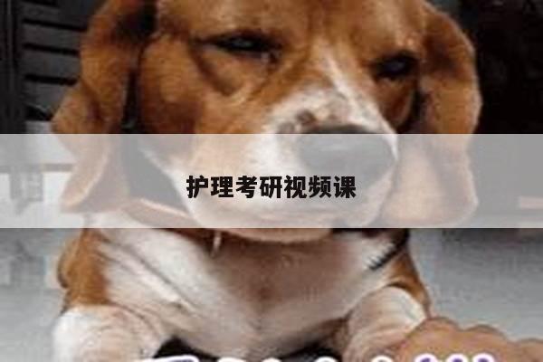 护理考研视频课