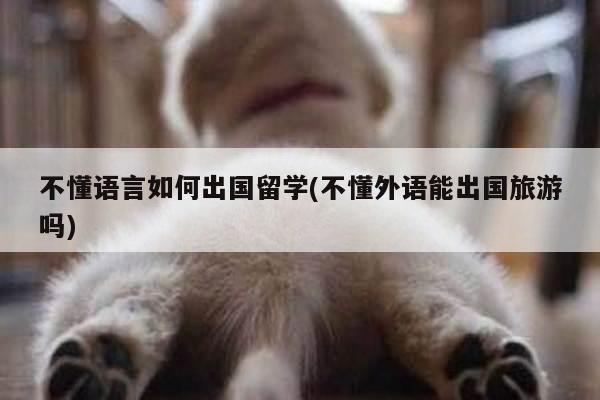 不懂语言如何出国留学(不懂外语能出国旅游吗)