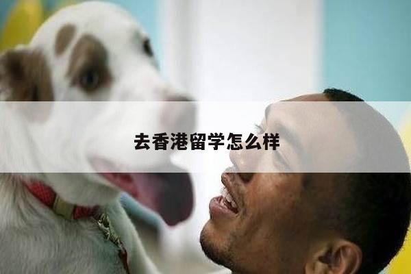 去香港留学怎么样