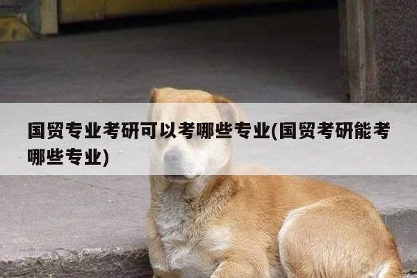 国贸专业考研可以考哪些专业(国贸考研能考哪些专业)