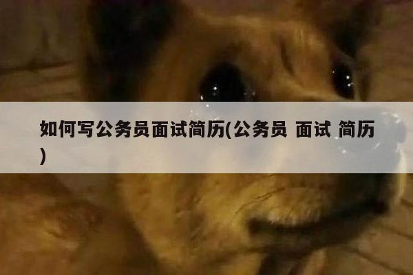 如何写公务员面试简历(公务员 面试 简历)