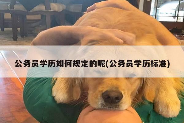 公务员学历如何规定的呢(公务员学历标准)