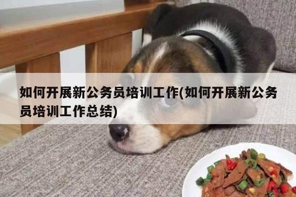 如何开展新公务员培训工作(如何开展新公务员培训工作总结)