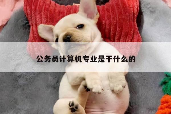 公务员计算机专业是干什么的